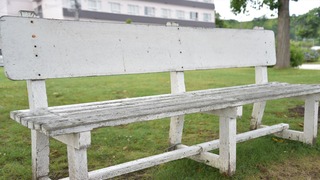 33-DSC_5917