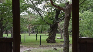 49-DSC_4408