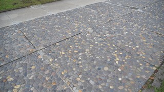 64-DSC_5971