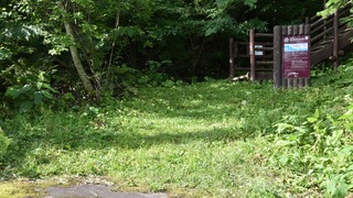 25-DSC_6024
