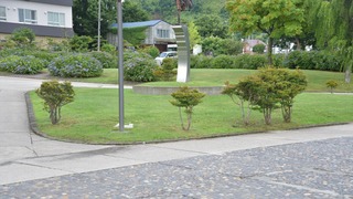 48-DSC_5946