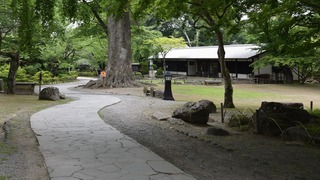 24-DSC_4266