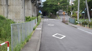 11-DSC_4520
