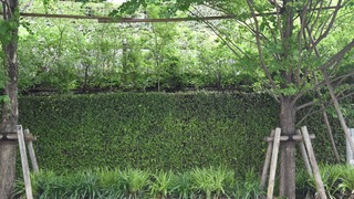 03-DSC_3321
