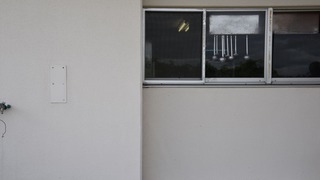 02-DSC_6338