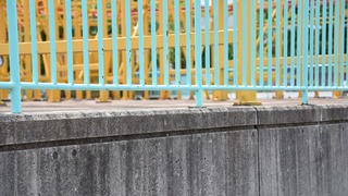 07-DSC_3391