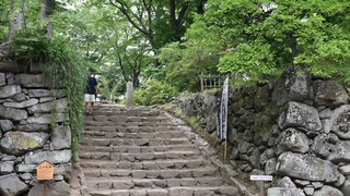 11-DSC_4238