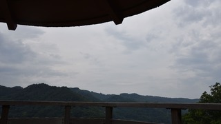 12-DSC_4316