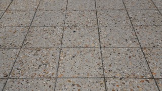 05-DSC_3533