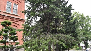 14-DSC_5124
