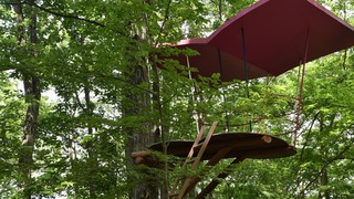 05-DSC_4802