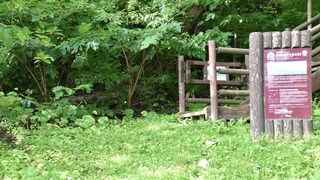 27-DSC_6025
