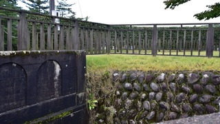 03-DSC_7793