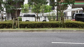 10-DSC_3351