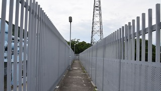 05-DSC_4341