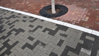 11-DSC_3352