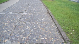 55-DSC_5957