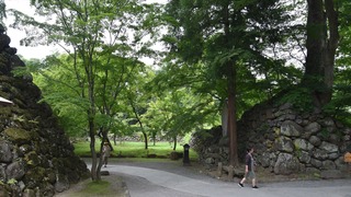 31-DSC_4277