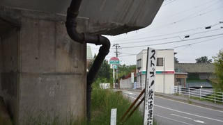07-DSC_4599