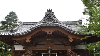 47-DSC_4306