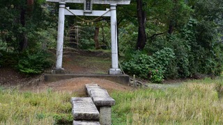 03-DSC_7888