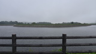01-DSC_4717