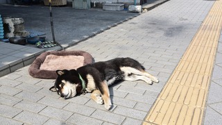 08話(045)