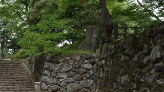 16-DSC_4245