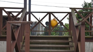 23-DSC_6396