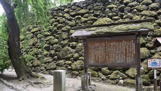 33-DSC_4279