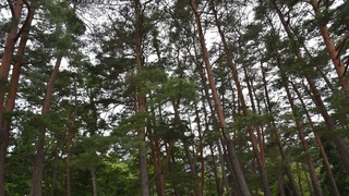 14-DSC_3822