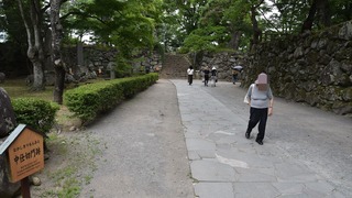 18-DSC_4249