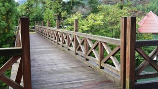 06-DSC_7819