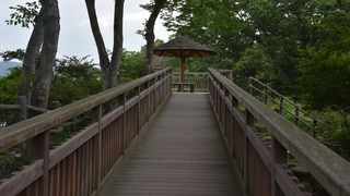 03-DSC_4411