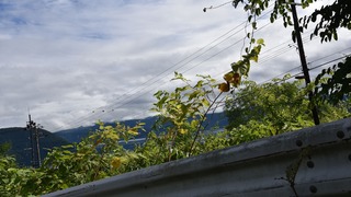 16-DSC_6045