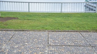 65-DSC_5972