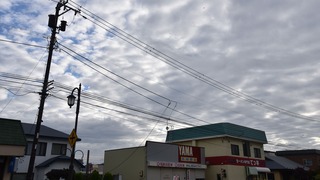 38-DSC_6679
