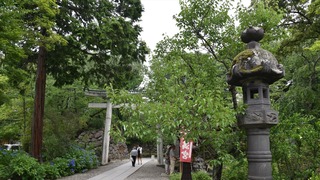 43-DSC_4323