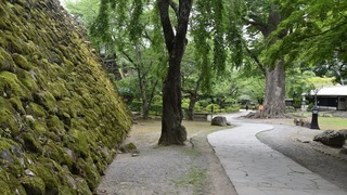 22-DSC_4262