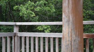 07-DSC_4395