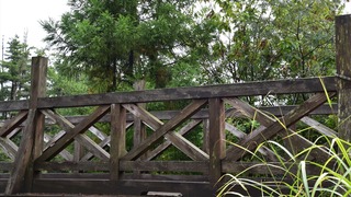 17-DSC_7840