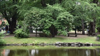 19-DSC_5152