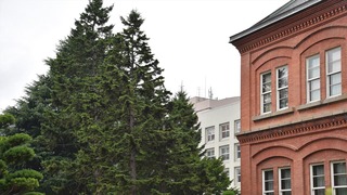 15-DSC_5089