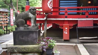15-DSC_3130