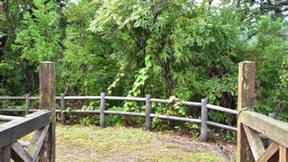 02-DSC_7811