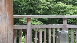 06-DSC_4394