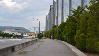 07-DSC_4550
