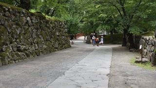 15-DSC_4243