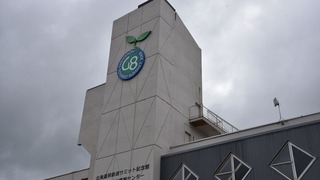 10-DSC_6308