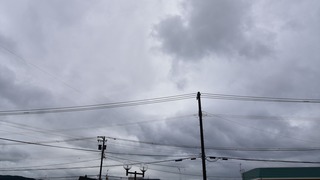 11-DSC_6300